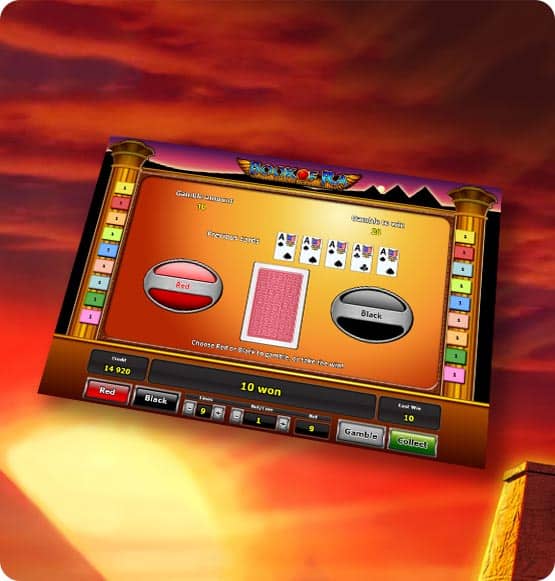 Book of Ra slot Gamble function